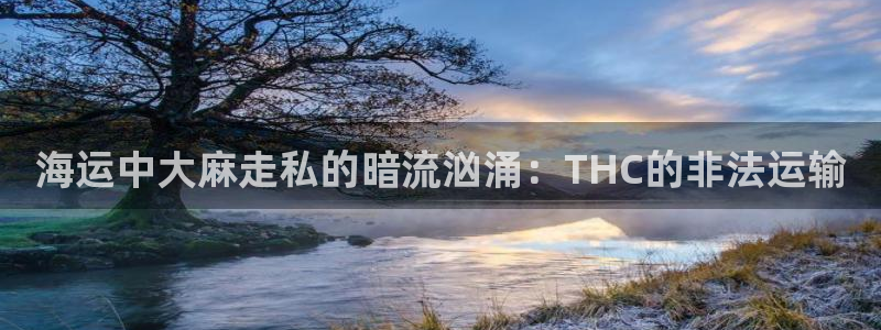 欢迎来到公海