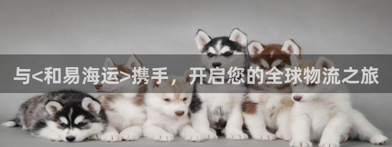 欢迎来到公海7108