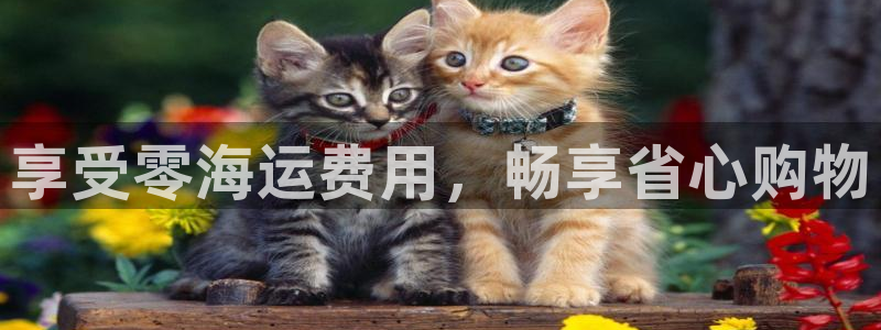 公海赌赌船官网jc710