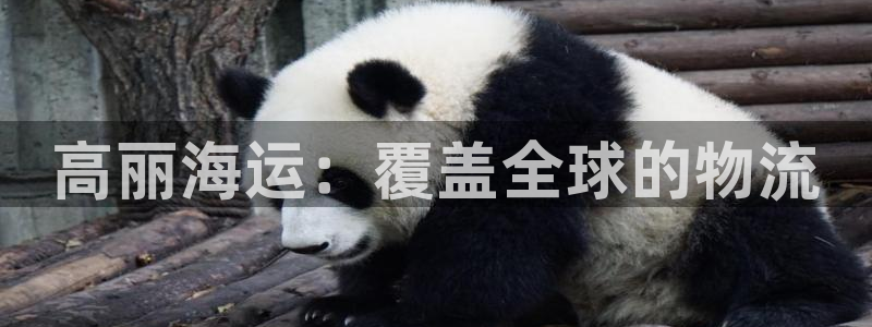 欢迎来到公赌船