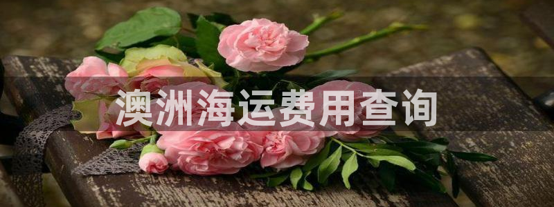 欢迎来到公海堵船