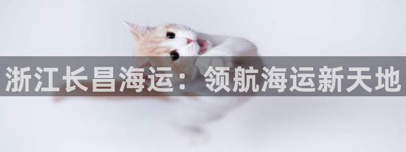 公海赌博怎么处理