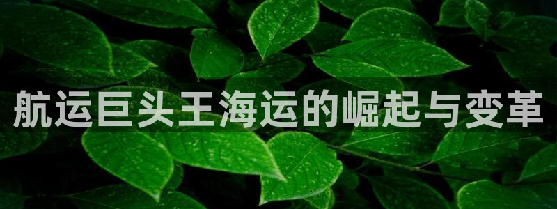 欢迎来到公海堵船