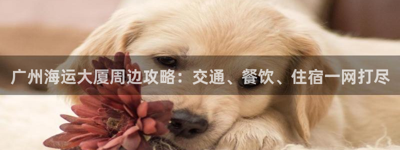 欢迎来到公海710线路是多少
