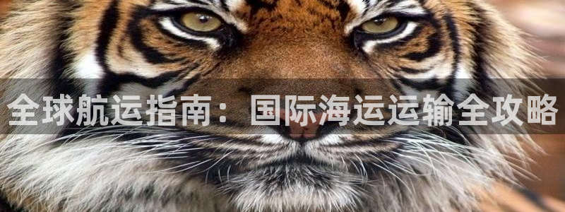 欢迎来到公海.欢迎来到赌船