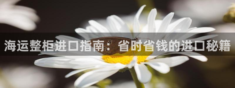 欢迎来到公海
