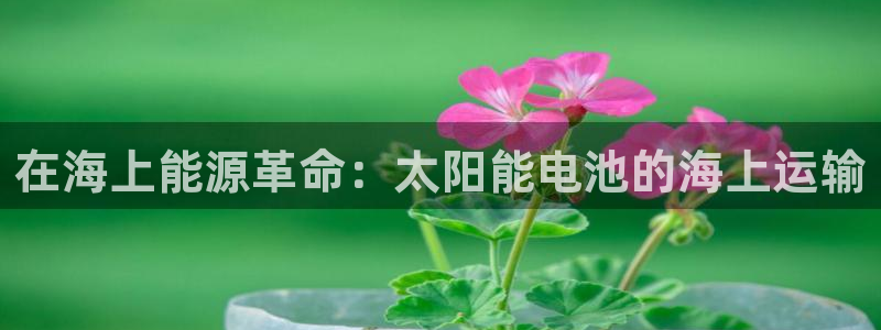 公海赌船吧