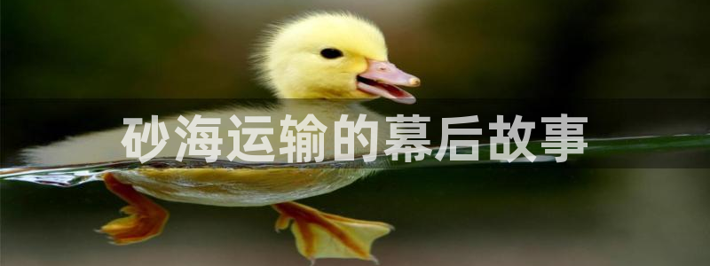 欢迎来到大海