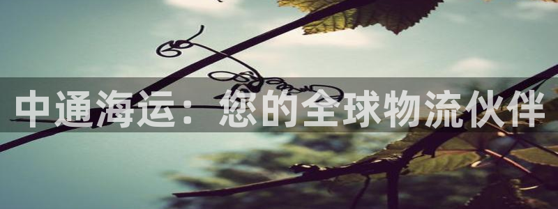 公海赌赌船手机下载
