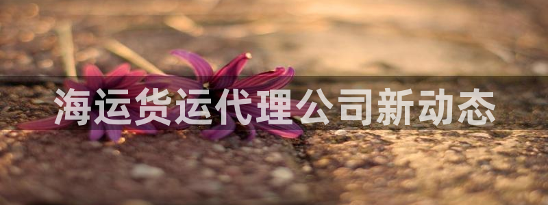 欢迎你来到公主的海岛