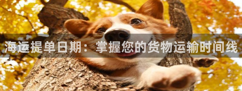 公海欢迎来到