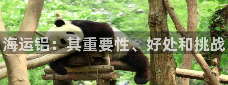 公海赌赌船最新版本更新内容