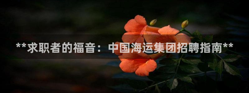 欢迎您来到公海客服