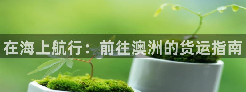 欢迎来到公赌船