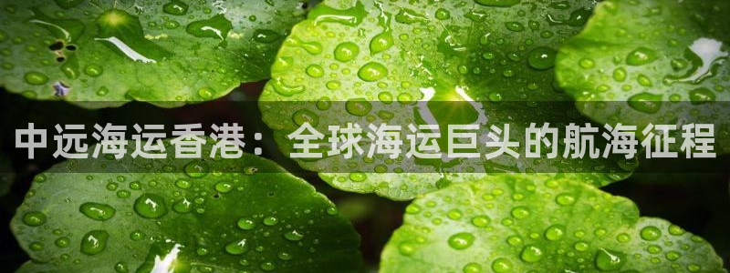 欢迎您来到公海欢迎来到赌船