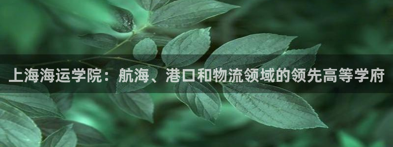 公海赌船网址710