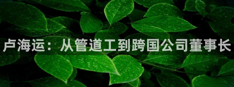 公海赌船赌博
