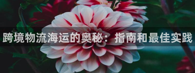 公海赌博怎么处理