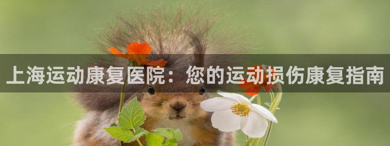 公海赌赌船最新版本更新内容