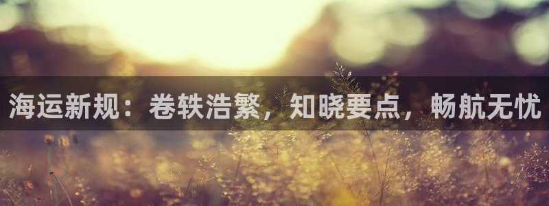 公海赌赌船官网图标