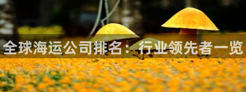 欢迎到我的船上来的英文