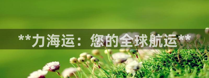 在公海赌博不违法吗
