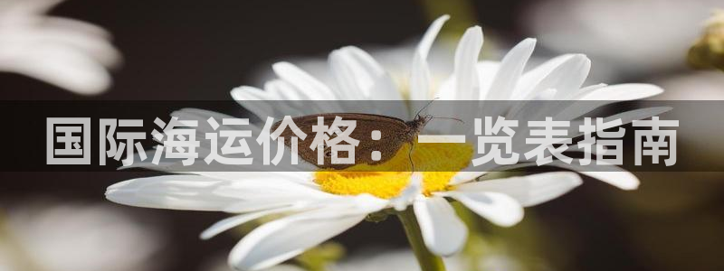 欢迎来到海牛星简谱