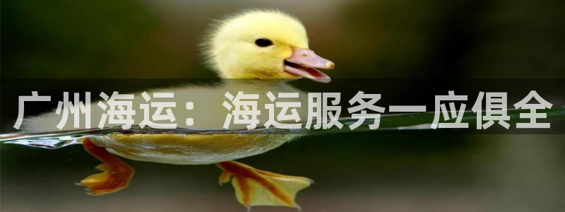 欢迎你来到公主的海岛