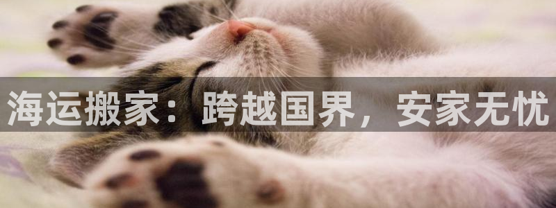 公海赌船网页