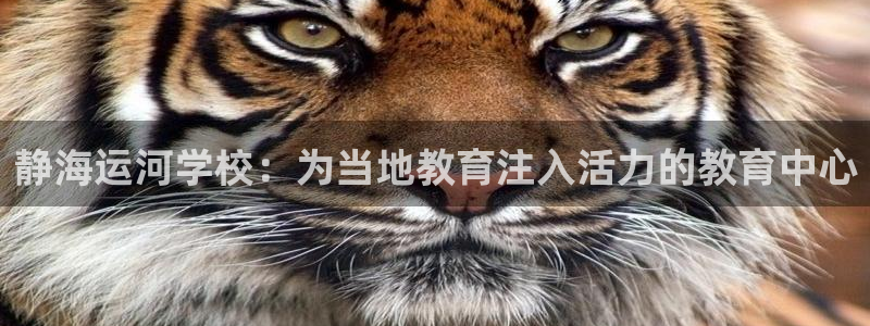 在公海赌博不违法吗