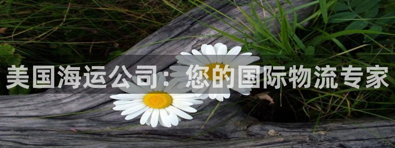 公海赌船怎么样