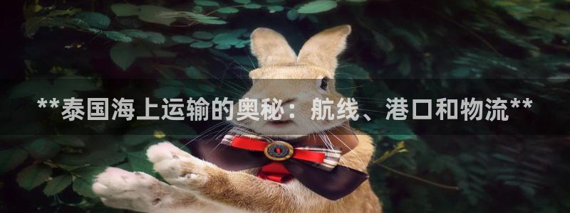 公海赌赌船官网710忘记账号了