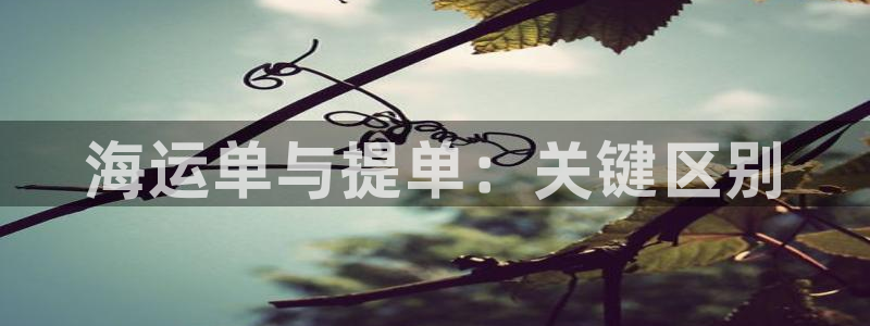 公海船赌网站是多少