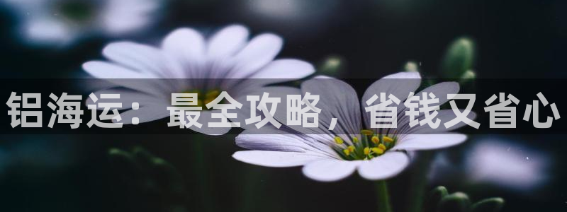 公海赌赌船利息宝是真的吗