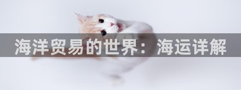 公海赌赌船官网真的