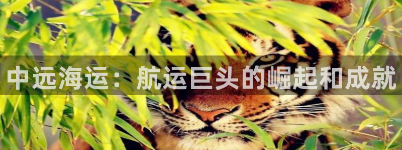 公海赌钱犯法吗