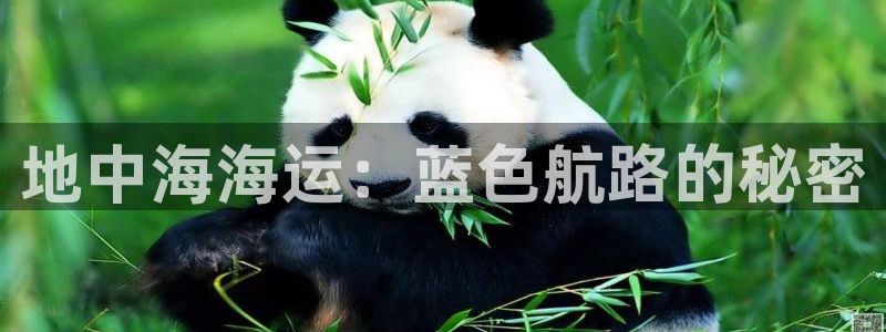 公海赌船官方