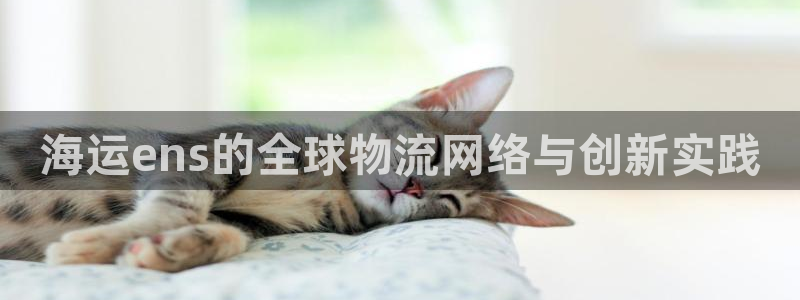 公海赌博怎么处理
