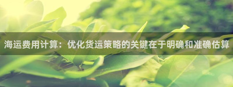 公海 赌船710手机版下载