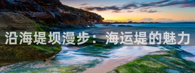公海欢迎来到