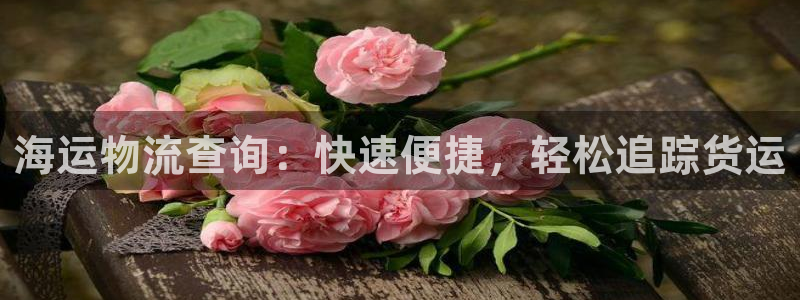 欢迎来到赌船公海710