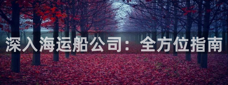 公海赌赌船官网jc710