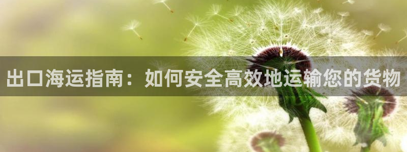 公海赌钱