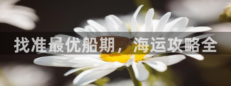 去公海赌博合法吗