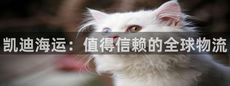 公海赌赌船官网710登录
