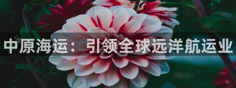 欢迎你来到公海欢迎你来到赌船