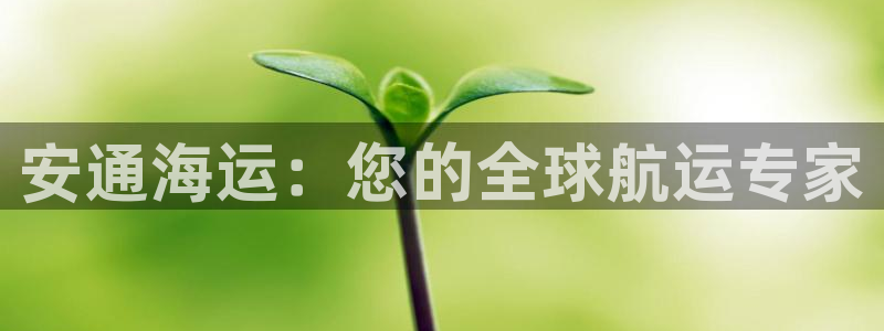欢迎来到公海