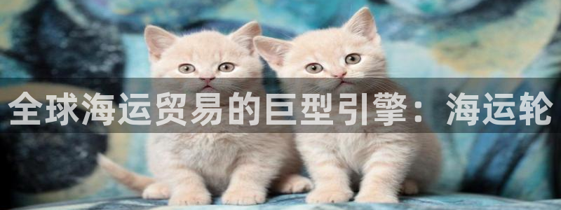 公海赌赌船官网