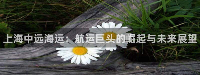 公海赌赌船贵宾会员检测路线