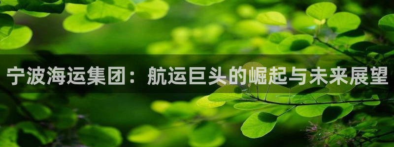 公海赌船官网下载